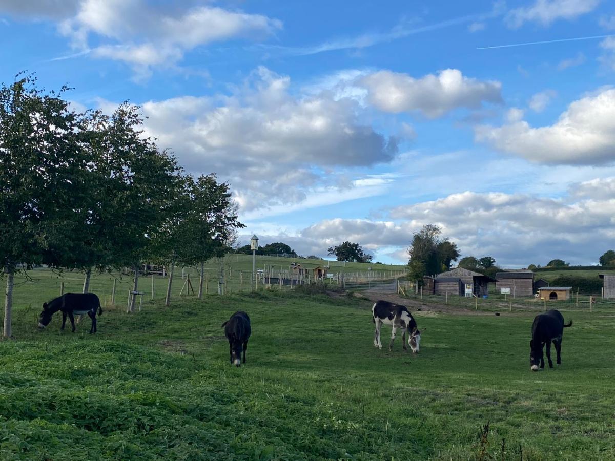 Fairview Farm Holiday Accommodation 14 Luxury Lodges, Cabins, Dog Friendly, Suitable For Couples, Families And Groups, Wedding Guests , Corporate Events, Sleeps 2-65 Guests In Ravenshead, Nottingham Near Sherwood Forest, Set In 88 Acres Экстерьер фото