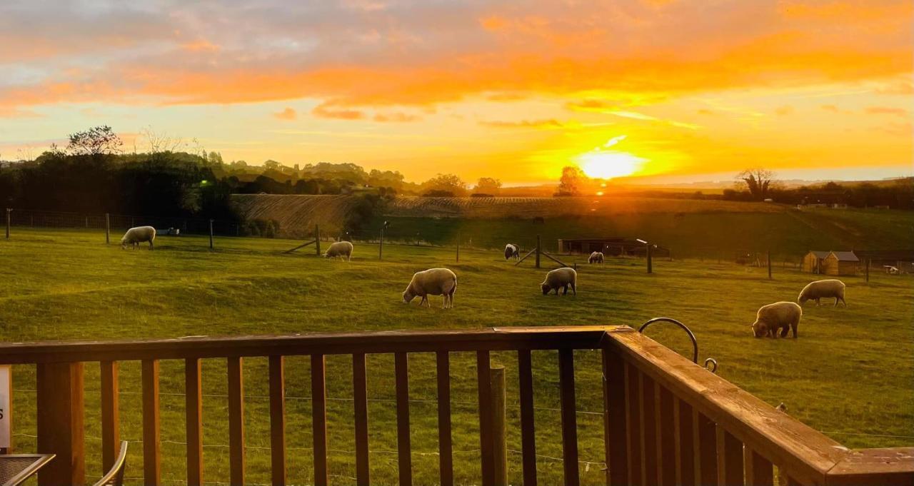 Fairview Farm Holiday Accommodation 14 Luxury Lodges, Cabins, Dog Friendly, Suitable For Couples, Families And Groups, Wedding Guests , Corporate Events, Sleeps 2-65 Guests In Ravenshead, Nottingham Near Sherwood Forest, Set In 88 Acres Экстерьер фото