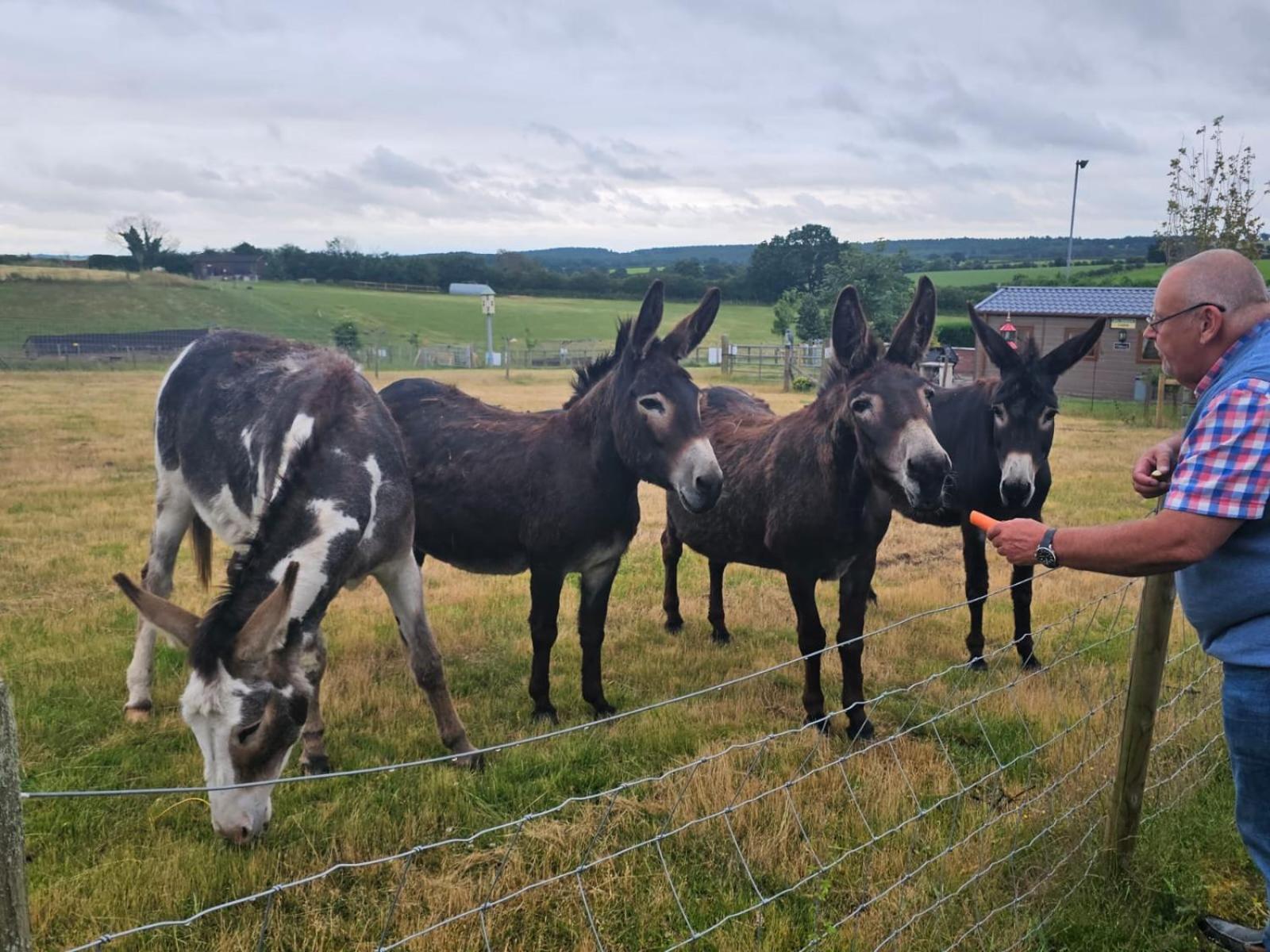 Fairview Farm Holiday Accommodation 14 Luxury Lodges, Cabins, Dog Friendly, Suitable For Couples, Families And Groups, Wedding Guests , Corporate Events, Sleeps 2-65 Guests In Ravenshead, Nottingham Near Sherwood Forest, Set In 88 Acres Экстерьер фото