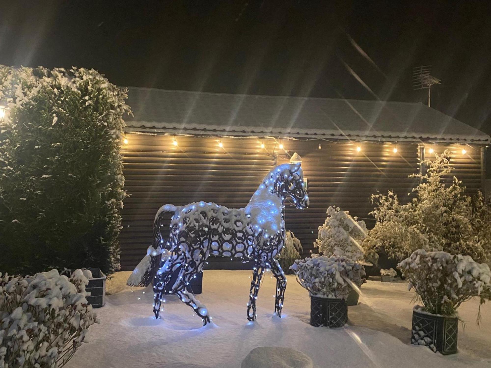 Fairview Farm Holiday Accommodation 14 Luxury Lodges, Cabins, Dog Friendly, Suitable For Couples, Families And Groups, Wedding Guests , Corporate Events, Sleeps 2-65 Guests In Ravenshead, Nottingham Near Sherwood Forest, Set In 88 Acres Экстерьер фото