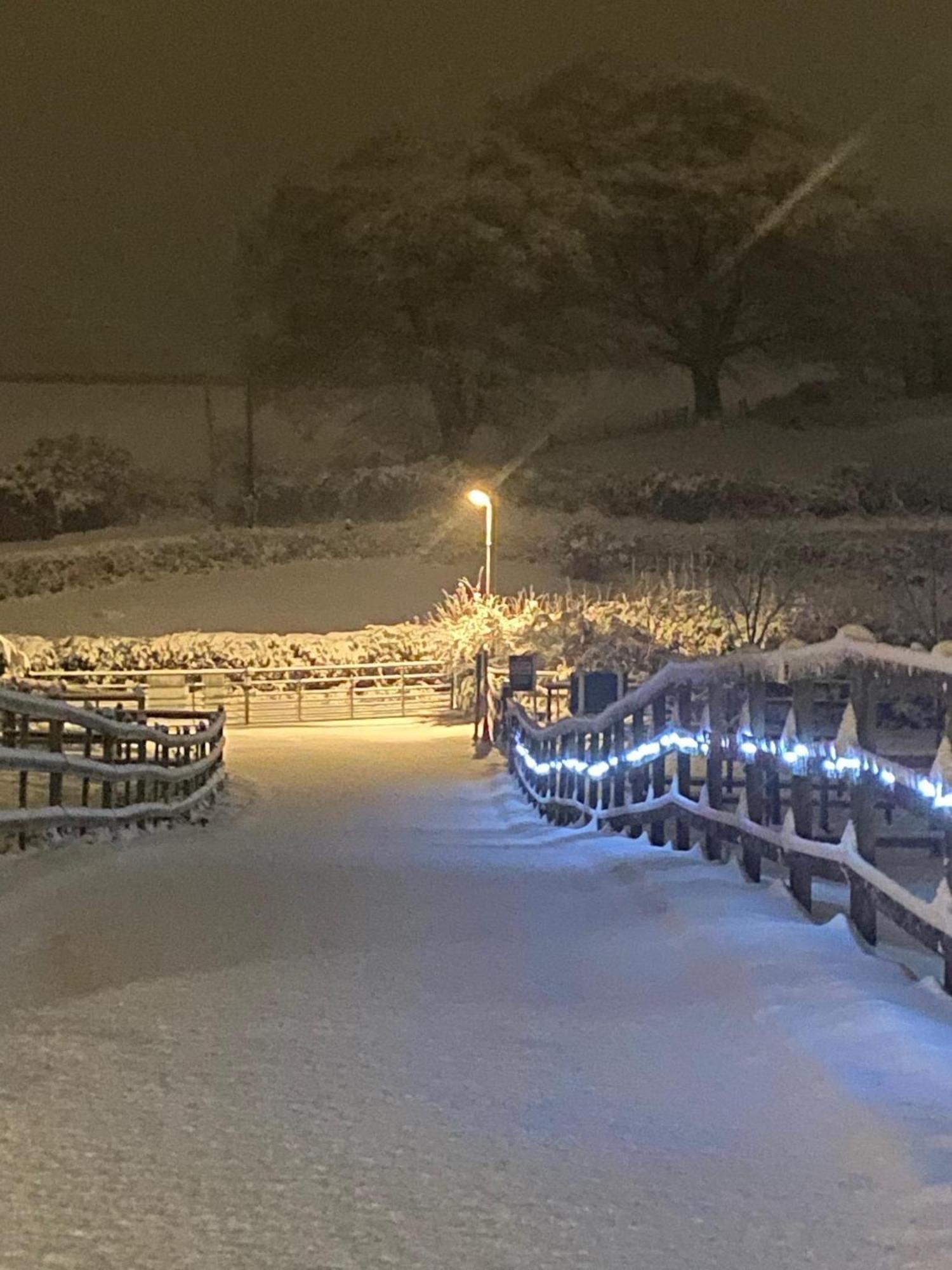 Fairview Farm Holiday Accommodation 14 Luxury Lodges, Cabins, Dog Friendly, Suitable For Couples, Families And Groups, Wedding Guests , Corporate Events, Sleeps 2-65 Guests In Ravenshead, Nottingham Near Sherwood Forest, Set In 88 Acres Экстерьер фото