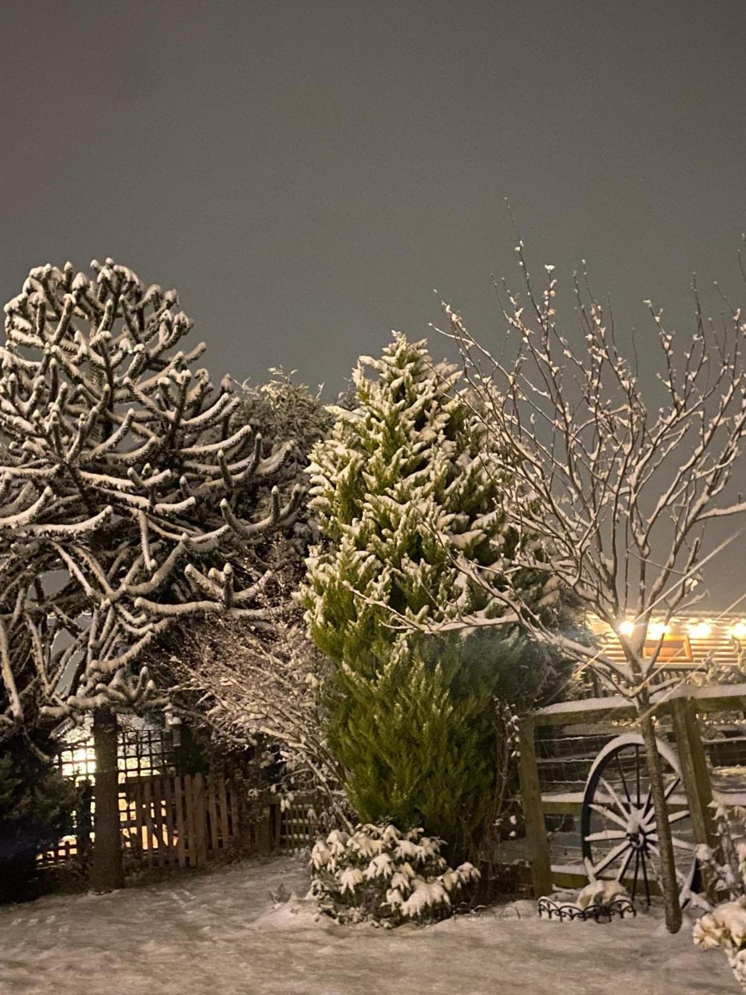 Fairview Farm Holiday Accommodation 14 Luxury Lodges, Cabins, Dog Friendly, Suitable For Couples, Families And Groups, Wedding Guests , Corporate Events, Sleeps 2-65 Guests In Ravenshead, Nottingham Near Sherwood Forest, Set In 88 Acres Экстерьер фото