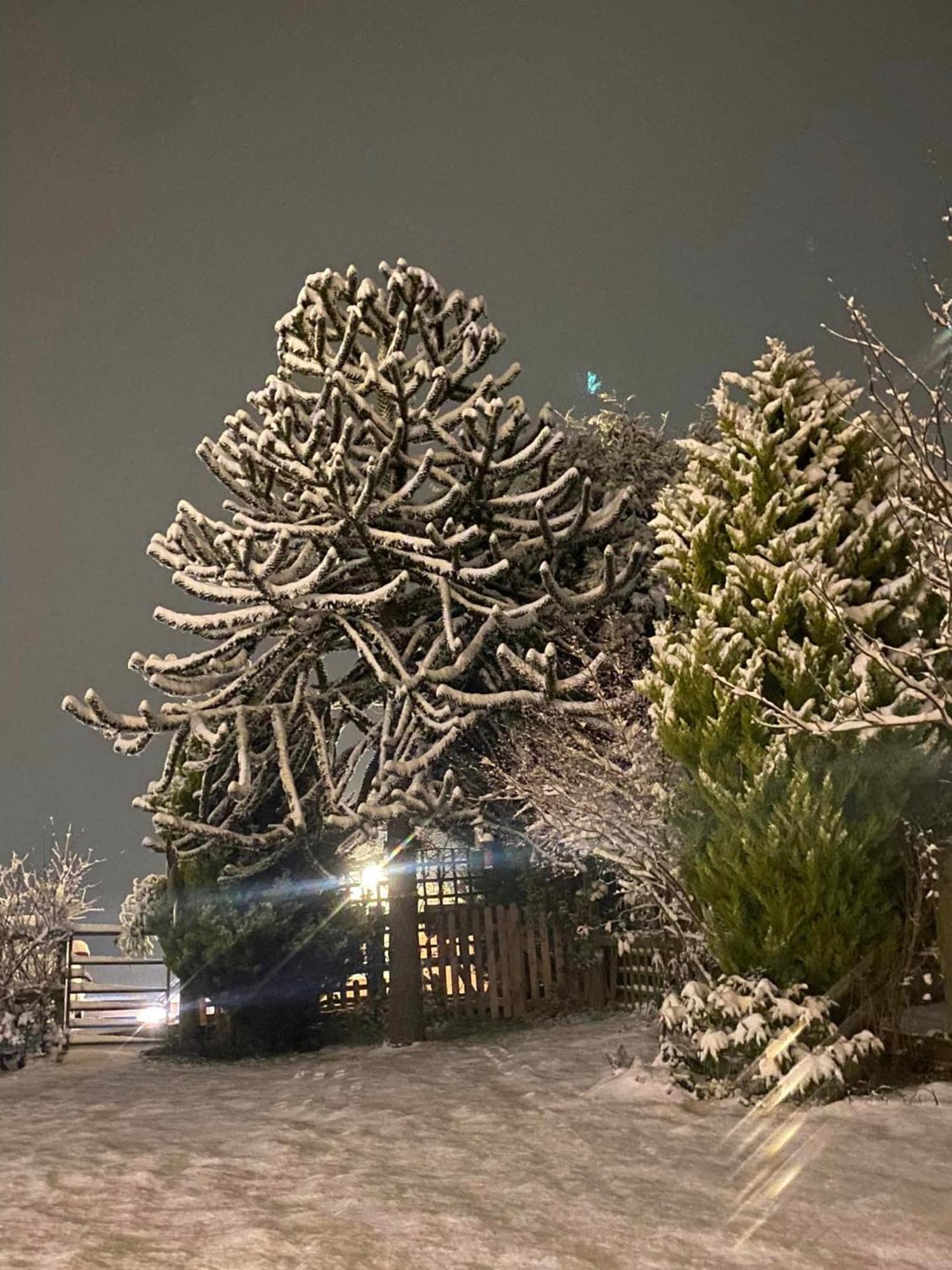 Fairview Farm Holiday Accommodation 14 Luxury Lodges, Cabins, Dog Friendly, Suitable For Couples, Families And Groups, Wedding Guests , Corporate Events, Sleeps 2-65 Guests In Ravenshead, Nottingham Near Sherwood Forest, Set In 88 Acres Экстерьер фото